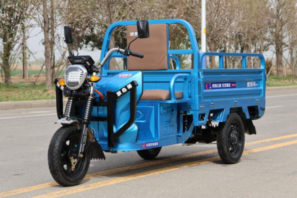 tuktuk Electric 3 Wheel Motorcycle – 1.3M P&L 8-Passenger – 2000W, 35km/h, 8 passengers