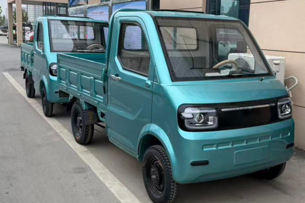 tuktuk Electric 3 Wheel Motorcycle – 1.1M Electric Loader (EEC) – 800W, 175kg, 50-70km/h-16